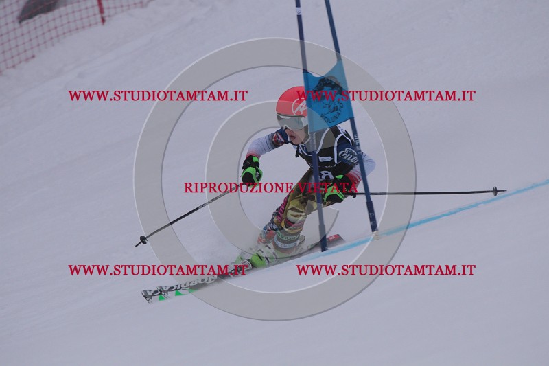 IMG_7633.JPG