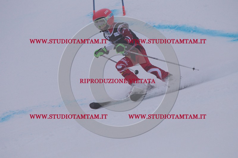 IMG_7643.JPG