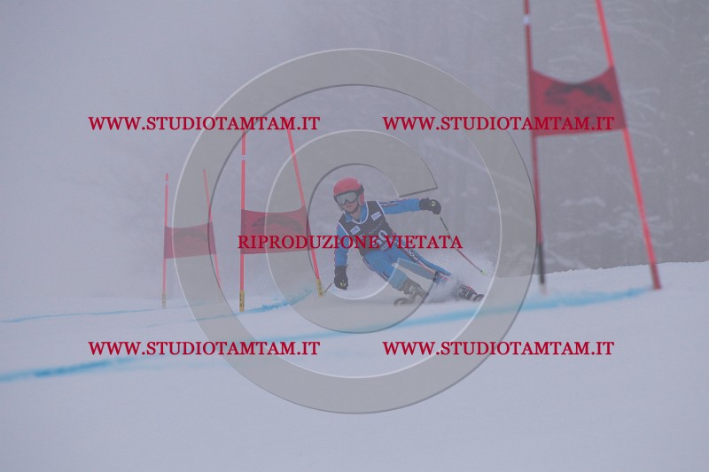 IMG_7648.JPG