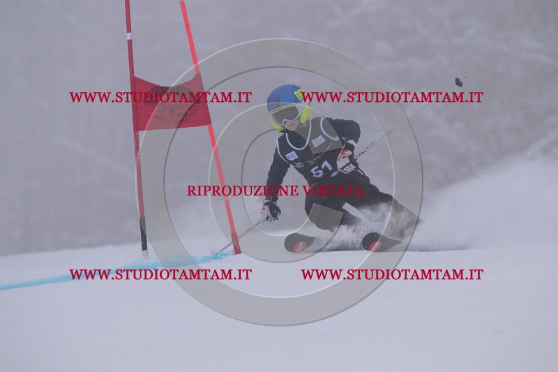 IMG_7662.JPG