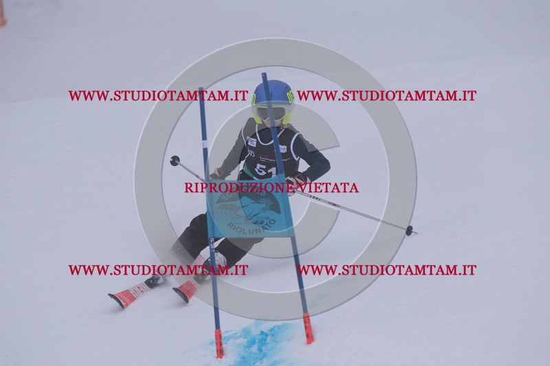 IMG_7664.JPG