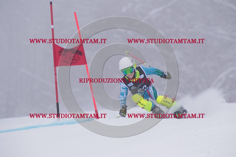 IMG_7675.JPG