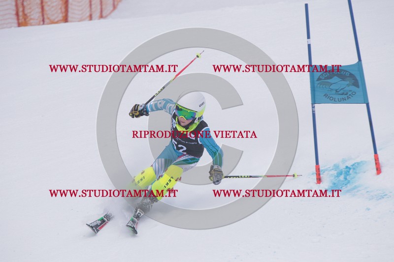 IMG_7679.JPG