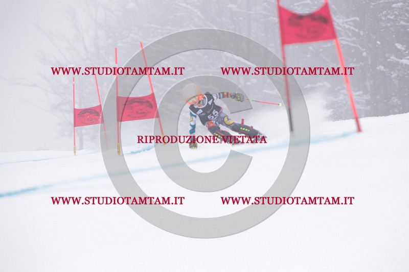 IMG_7696.JPG