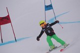 IMG_7087