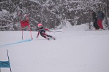 IMG_7089
