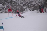 IMG_7090