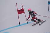 IMG_7101