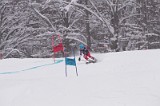 IMG_7104