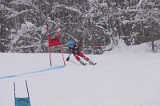 IMG_7105
