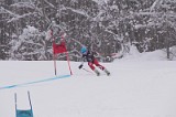 IMG_7106