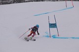 IMG_7110