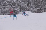 IMG_7118