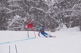 IMG_7119