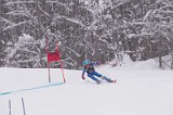 IMG_7120