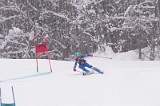 IMG_7121