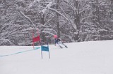IMG_7136