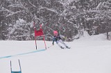 IMG_7137