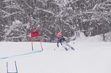 IMG_7138