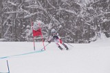 IMG_7154