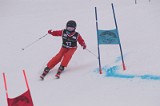 IMG_7182