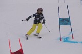 IMG_7194