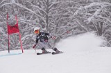 IMG_7221
