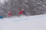 IMG_7233