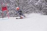 IMG_7237