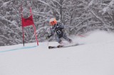 IMG_7238
