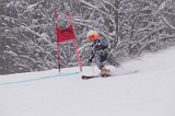 IMG_7239