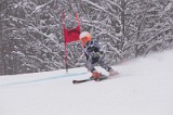 IMG_7240