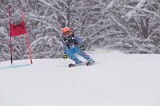 IMG_7254