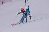 IMG_7263