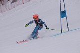 IMG_7264