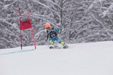 IMG_7269