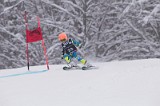 IMG_7270