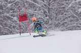 IMG_7271