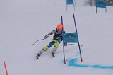 IMG_7273