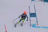 IMG_7274