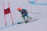IMG_7278