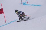 IMG_7291