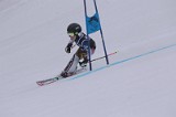 IMG_7294