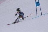 IMG_7295