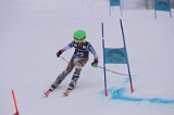 IMG_7301