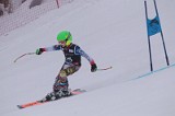 IMG_7306