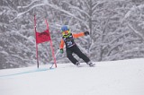 IMG_7310