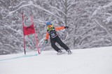 IMG_7311