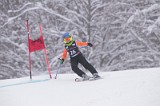 IMG_7312