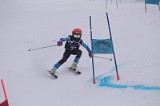 IMG_7328